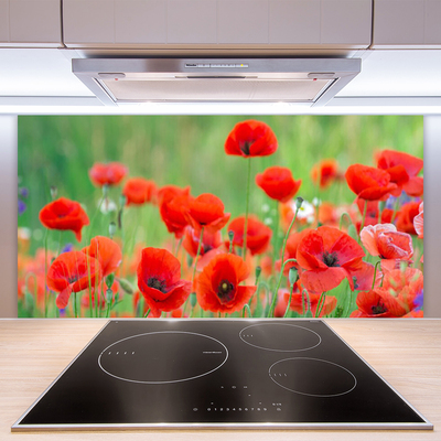 Kitchen Splashback Poppies floral red black