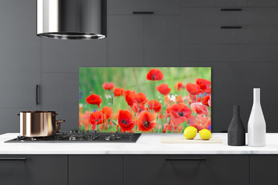 Kitchen Splashback Poppies floral red black