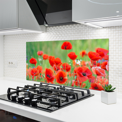 Kitchen Splashback Poppies floral red black