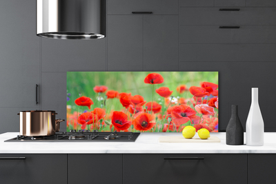 Kitchen Splashback Poppies floral red black