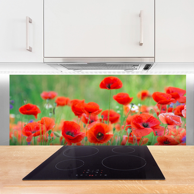 Kitchen Splashback Poppies floral red black