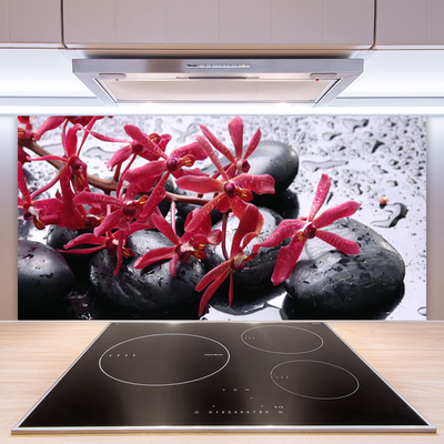 Kitchen Splashback Flower stones art black red