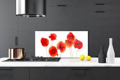 Kitchen Splashback Poppies floral red black