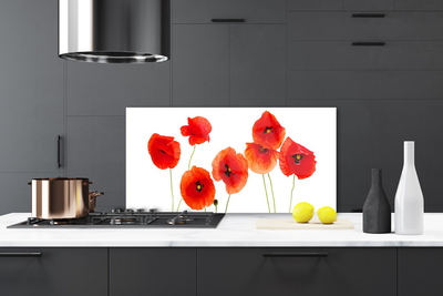 Kitchen Splashback Poppies floral red black