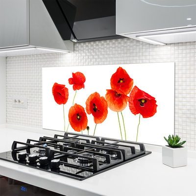 Kitchen Splashback Poppies floral red black