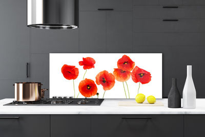 Kitchen Splashback Poppies floral red black