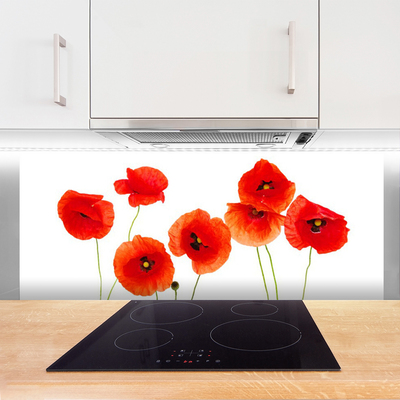 Kitchen Splashback Poppies floral red black