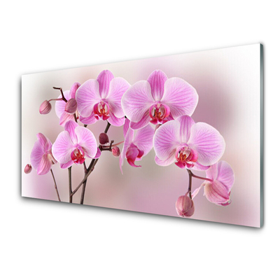 Kitchen Splashback Flowers floral pink