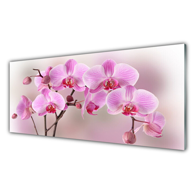 Kitchen Splashback Flowers floral pink