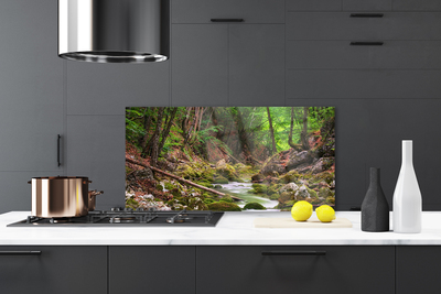 Kitchen Splashback Forest nature brown green