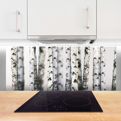 Kitchen Splashback Trees nature black white