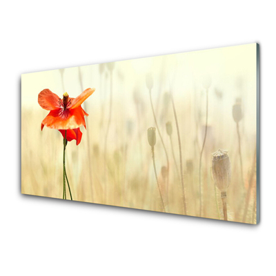 Kitchen Splashback Poppy floral red green