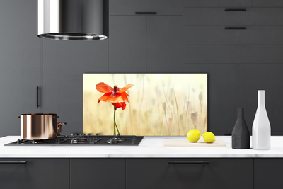 Kitchen Splashback Poppy floral red green