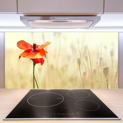 Kitchen Splashback Poppy floral red green