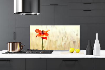 Kitchen Splashback Poppy floral red green