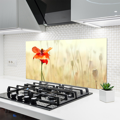 Kitchen Splashback Poppy floral red green