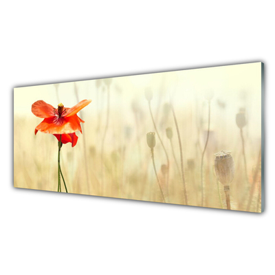 Kitchen Splashback Poppy floral red green