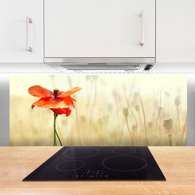 Kitchen Splashback Poppy floral red green