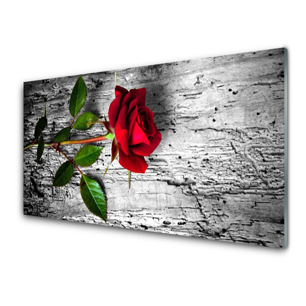 Kitchen Splashback Rose floral red green