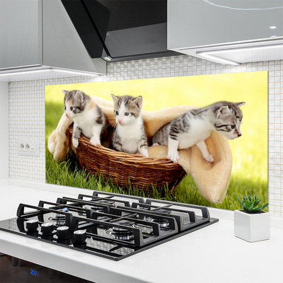 Kitchen Splashback Cats animals grey white brown