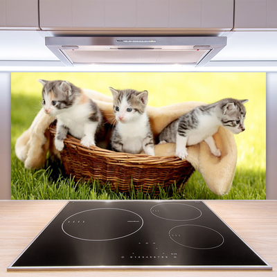 Kitchen Splashback Cats animals grey white brown