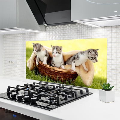 Kitchen Splashback Cats animals grey white brown