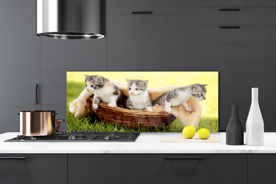 Kitchen Splashback Cats animals grey white brown