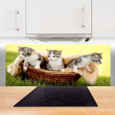 Kitchen Splashback Cats animals grey white brown