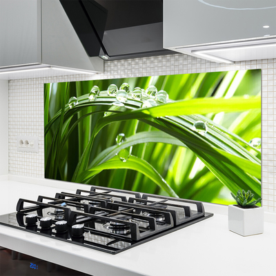 Kitchen Splashback Grass water drops nature green