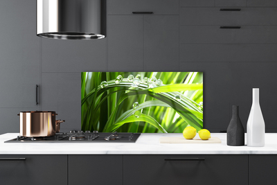 Kitchen Splashback Grass water drops nature green