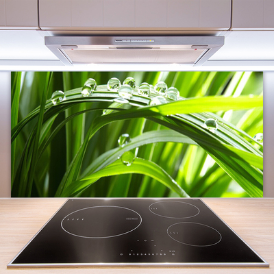 Kitchen Splashback Grass water drops nature green