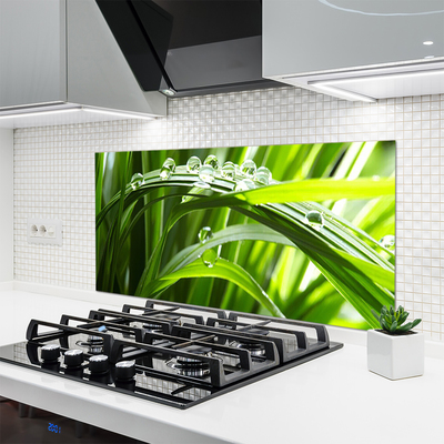 Kitchen Splashback Grass water drops nature green