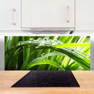 Kitchen Splashback Grass water drops nature green