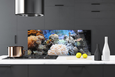 Kitchen Splashback Coral reef nature grey white yellow