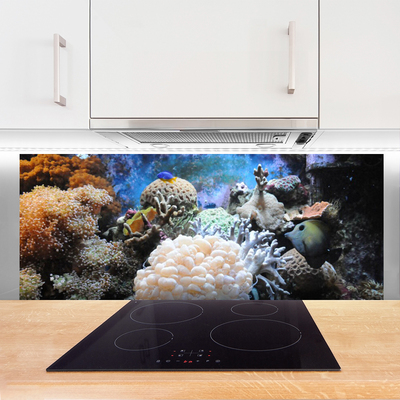 Kitchen Splashback Coral reef nature grey white yellow