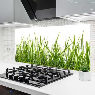 Kitchen Splashback Grass nature green