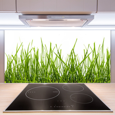 Kitchen Splashback Grass nature green