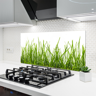 Kitchen Splashback Grass nature green