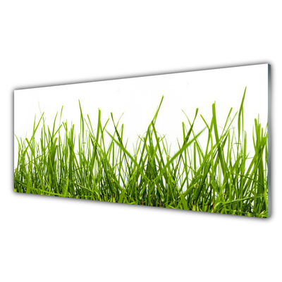 Kitchen Splashback Grass nature green