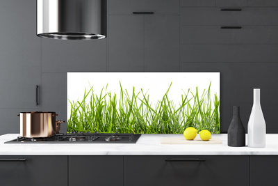 Kitchen Splashback Grass nature green