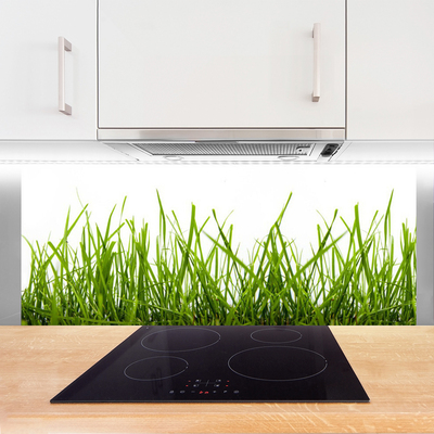 Kitchen Splashback Grass nature green