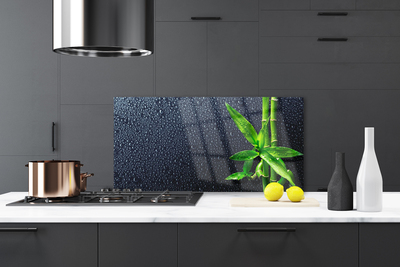 Kitchen Splashback Bamboo stalks floral green