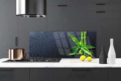 Kitchen Splashback Bamboo stalks floral green