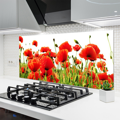 Kitchen Splashback Poppies nature red green