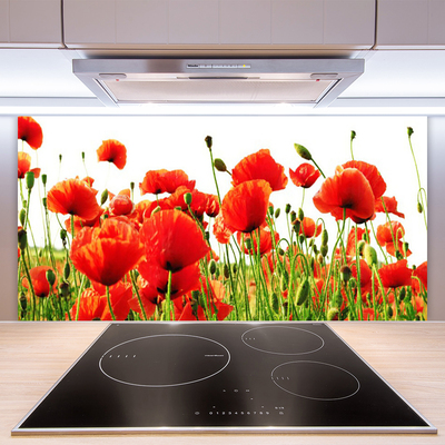 Kitchen Splashback Poppies nature red green