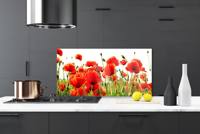 Kitchen Splashback Poppies nature red green