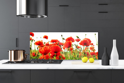 Kitchen Splashback Poppies nature red green