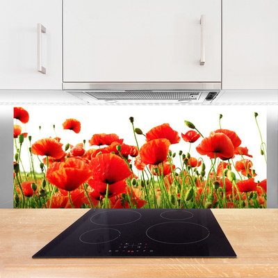 Kitchen Splashback Poppies nature red green