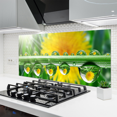 Kitchen Splashback Stem dew drops floral green