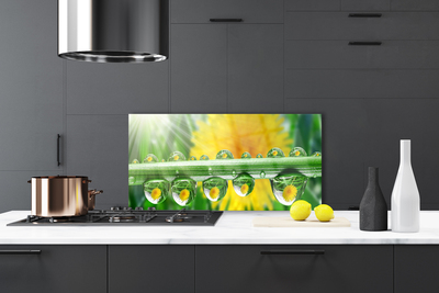 Kitchen Splashback Stem dew drops floral green